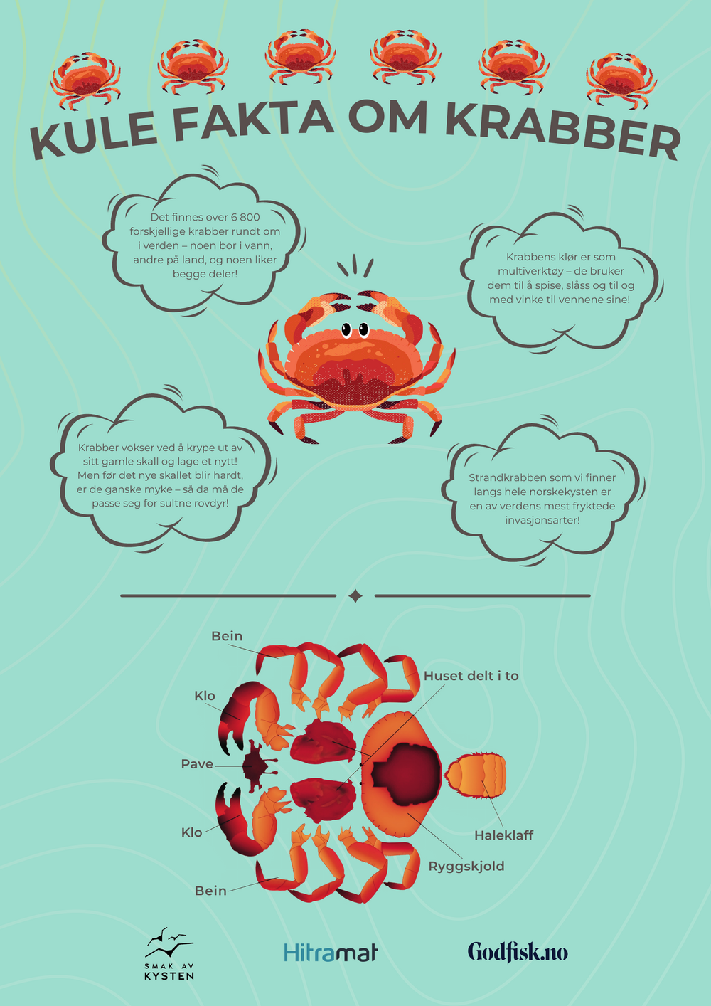 Plakat: Kule fakta om krabber