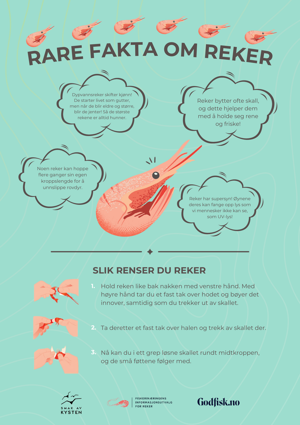 Plakat: Rare fakta om reker